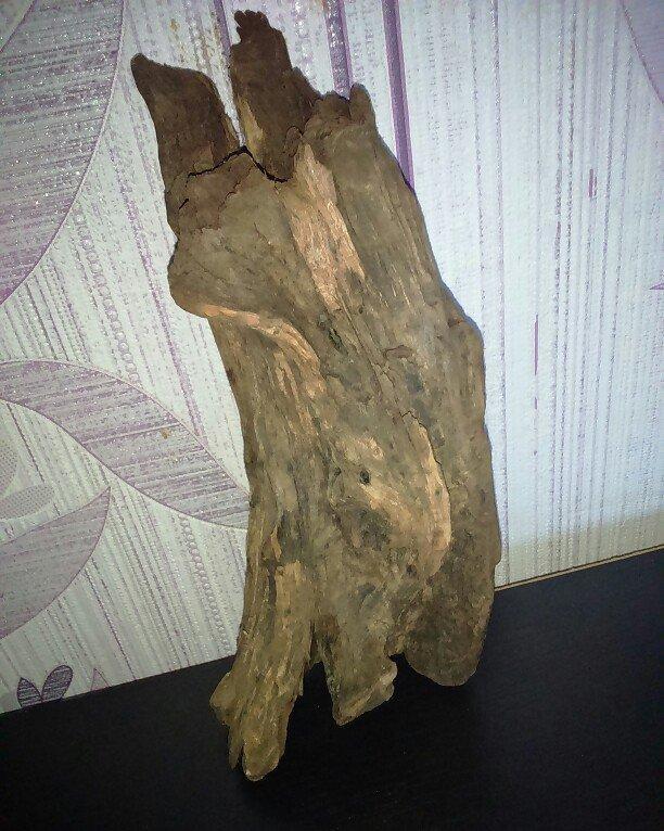 Akvariumcun Koryaga satiram uzunlugu 27sm eni 10sm. Продам Корягу для