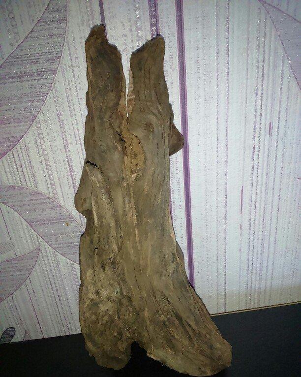 Akvariumcun Koryaga satiram uzunlugu 27sm eni 10sm. Продам Корягу для