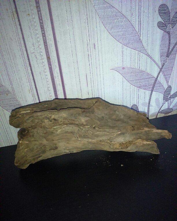 Akvariumcun Koryaga satiram uzunlugu 27sm eni 10sm. Продам Корягу для