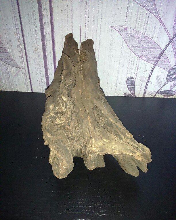 Akvariumcun Koryaga satiram uzunlugu 27sm eni 10sm. Продам Корягу для