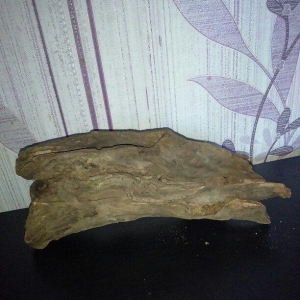Akvariumcun Koryaga satiram uzunlugu 27sm eni 10sm. Продам Корягу для