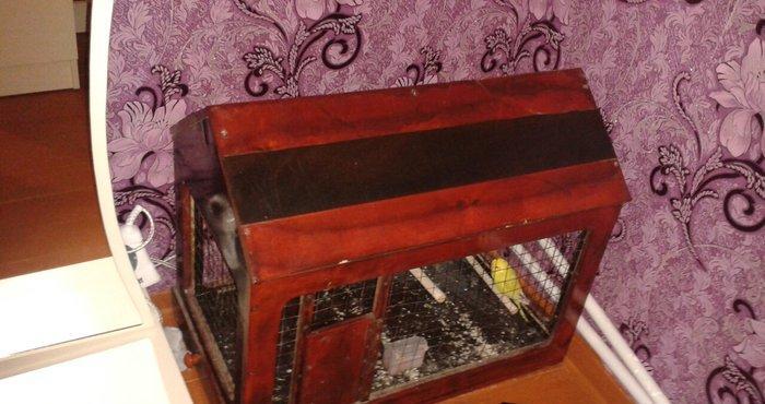 Qefes satilir 30 manata ela veziyetdedi boyuk qefesdi 70 uzunu 60 hund