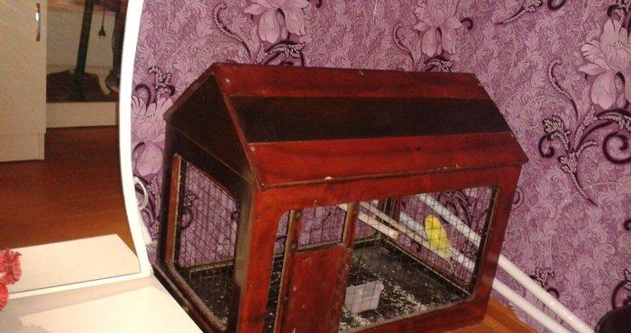 Qefes satilir 30 manata ela veziyetdedi boyuk qefesdi 70 uzunu 60 hund