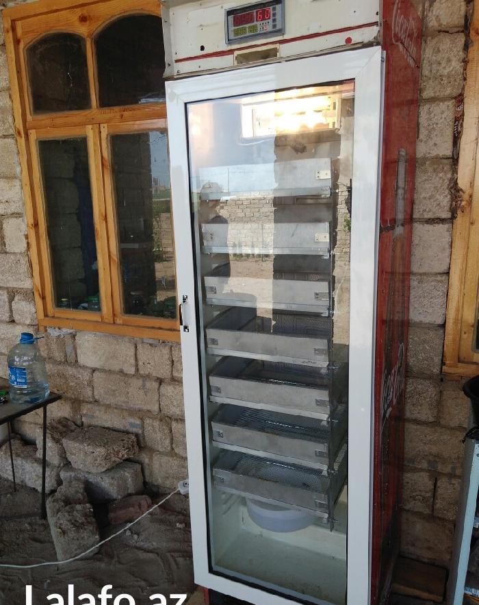 inkubatorlarin yığılması ve temiri.  inkubator tam avtomatik rejimde m