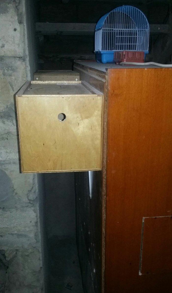 papuqaylar üçün iri qəfəsdi iki yuvası yay qapısı qış qapısı quşlara a
