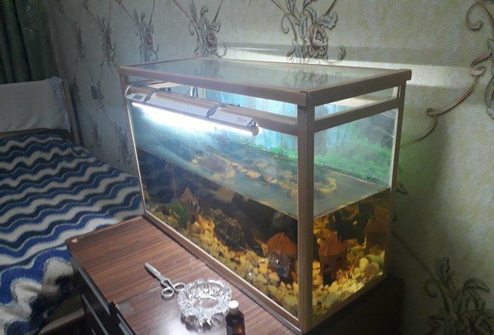 Akvarium icinde baliqlarla satiram yeni isteye gore akvarium tekde sat
