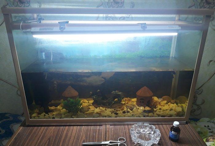 Akvarium icinde baliqlarla satiram yeni isteye gore akvarium tekde sat
