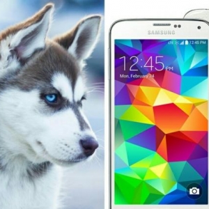 samsung s5 barter husky