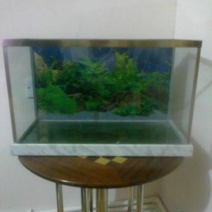 Akvarium satılır