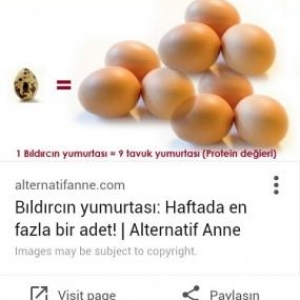 Bildircin yumurtasi ve bildircin balalari satilir