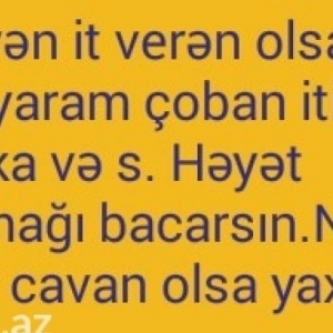 bunan əvvəl afçarka,rotveiler və çoban itim olub,