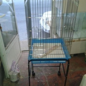 topdan qiymetlerle zoo magaza