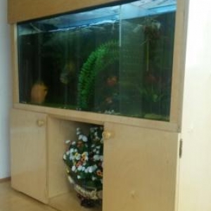 Akvarium satiram.icinde 2 eded baliq ve kicik tisb