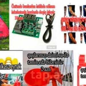 İnkubator ucun termostat