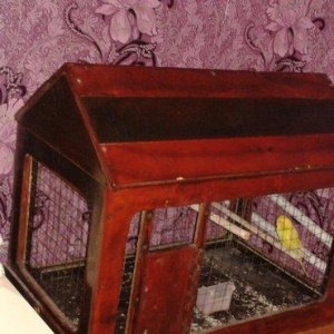 Qefes satilir 30 manata ela veziyetdedi boyuk qefesdi 70 uzunu 60 hund