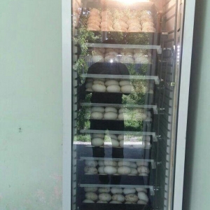560 yumurtalık tam avtomatik inkunator. tam avtomatikdir, nemislik ist