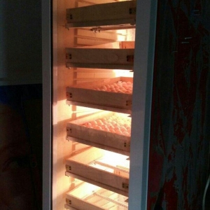 560 yumurtalık tam avtomatik inkunator. tam avtomatikdir, nemislik ist