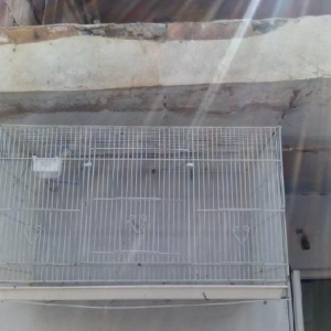 qefes satilir cox az iwlebib. Eni hundurluyu 46sm 