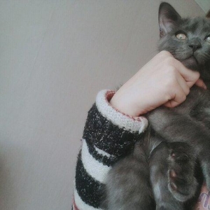 Cox gozel agilli erkek. Wotlant balasi. Demek olar bu ay tam uc ay ola