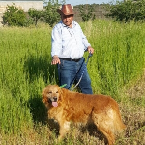 Golden Ret River.salamlar. Golden Ret Riverdi Temiz saf qandi.