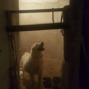 Alabay
 1 yasi var disidi bala vermiyib helem  cox