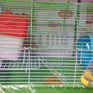 Xamyak , cunqarikler (hamster) ucun iki mertebeli 