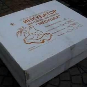 Этот инкубатор — для небол