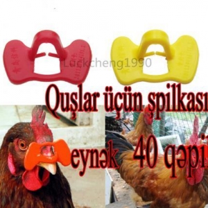 Quşlar üçün şpilkasız eynək. O birilərindən fərqi bir neçə dəfə istifadə edəbilərsiniz.