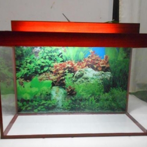 Teze akvarium 60 litrelik