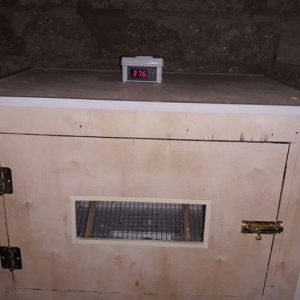 inqibator satılır 150 yumurta tutur  qiyməti 135 azn  yumurtaların cev