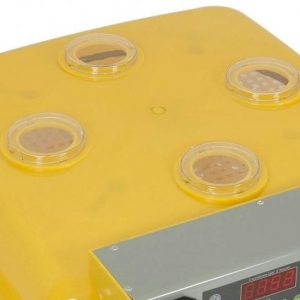 56 yumurtaliq tam avtomatik İnkubator (cücə çıxaran aparat ) tam yen