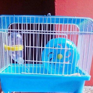 Xamyak ve chunqsrikler ucun qefes satilir tezedir her bir aksesuari us