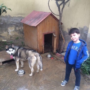 Temiz paroda xaski satilir 1yas 2ayligdi damiynan 