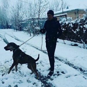 diwidi anasi azerbaycan temiz qurtpasar sortudu at