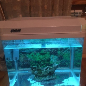 Zavod Istehsali 100 litre yaxin akvarium satilir i