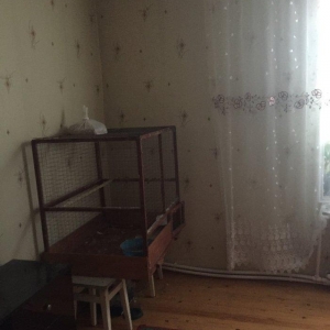Papuqay ucun qefes iki eded valnisti ucun yuva ve bir eded balaca qefe