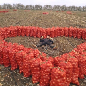 Boş Torpaq satıram